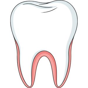 dental (5)